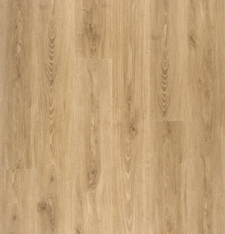 Suelo laminado Disfloor Top Roble auténtico natural - 32729